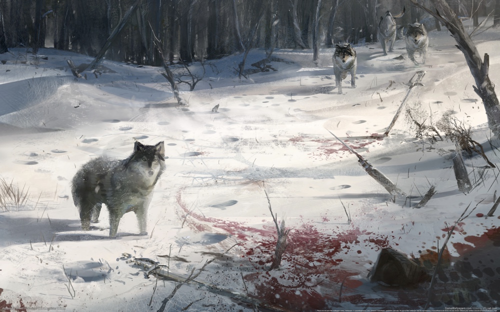 Assassins creed iii 05