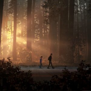 Life is strange 2 01