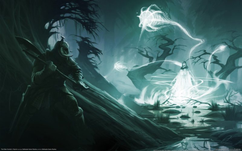 The Elder Scrolls 5 Skyrim