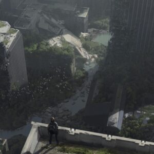 The last of us part 2 12