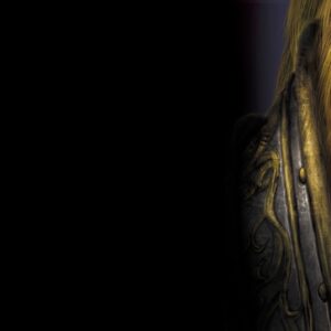 Warcraft 3 reign of chaos 24