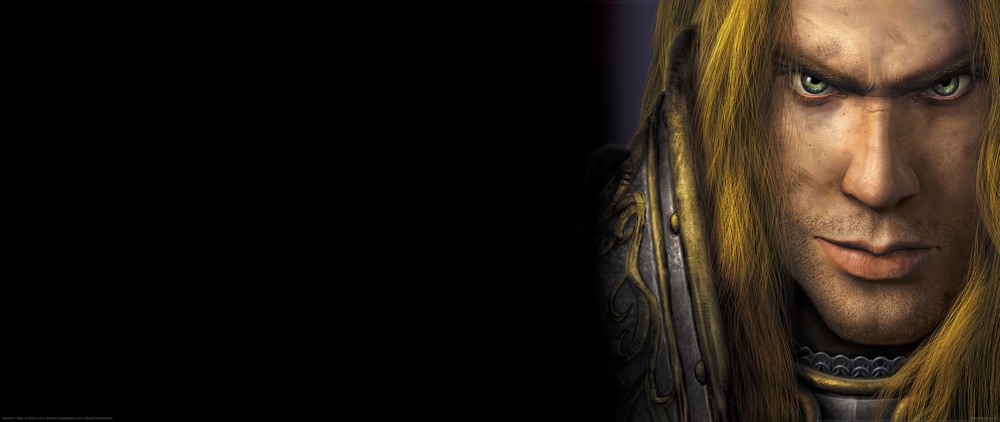 Warcraft 3 reign of chaos 24