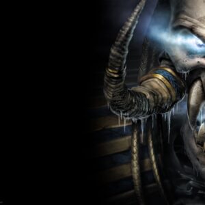 Warcraft 3 reign of chaos 26