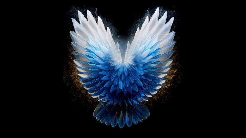 Angel Wings Amoled Wallpaper