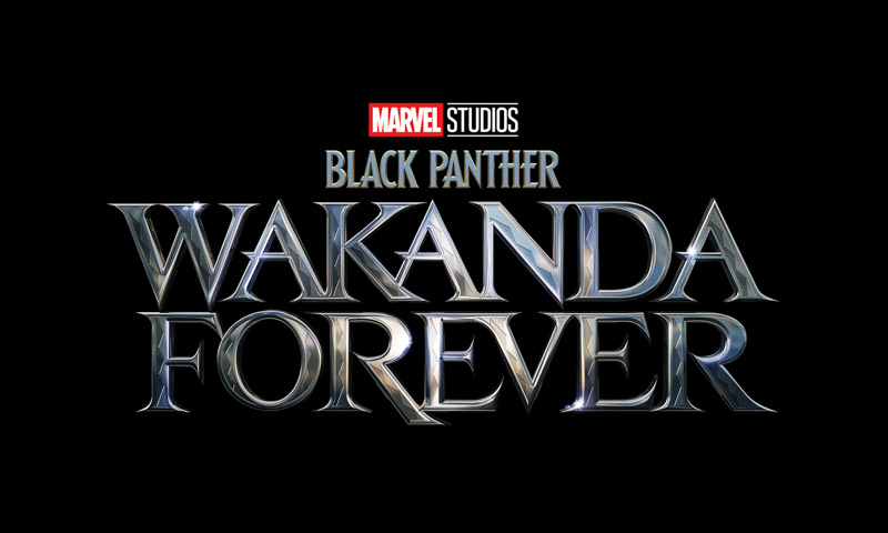 Black Panther Wakanda Forever 2022 Movies Marvel Comics Wallpaper